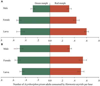 Harmonia axyridis Does Not Have Obvious Fitness Gain and Preference to the Red Morph of Acyrthosiphon pisum: A Case Study on a Laboratory Strain